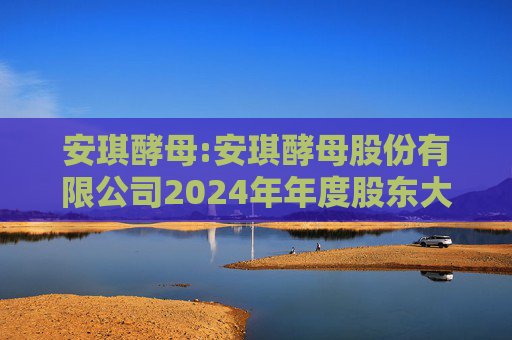 安琪酵母:安琪酵母股份有限公司2024年年度股东大会决议公告
