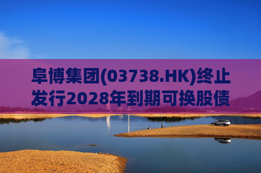 阜博集团(03738.HK)终止发行2028年到期可换股债券  第1张