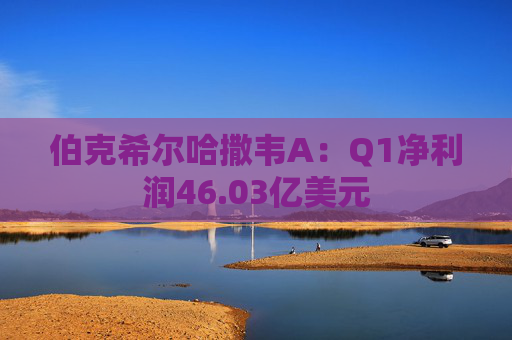 伯克希尔哈撒韦A：Q1净利润46.03亿美元