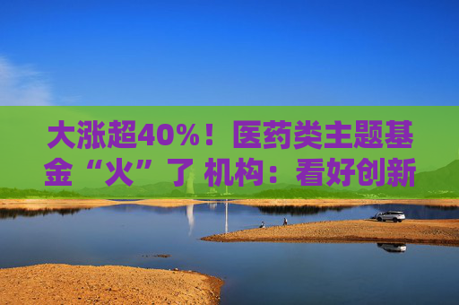 大涨超40%！医药类主题基金“火”了 机构：看好创新药投资机会
