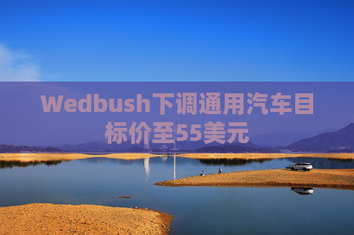 Wedbush下调通用汽车目标价至55美元