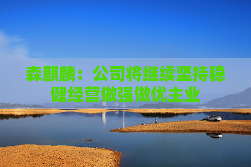 森麒麟：公司将继续坚持稳健经营做强做优主业