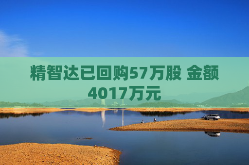 精智达已回购57万股 金额4017万元 第1张 精智达已回购57万股 金额4017万元 第1张