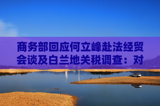 商务部回应何立峰赴法经贸会谈及白兰地关税调查：对对话磋商持开放态度  第1张