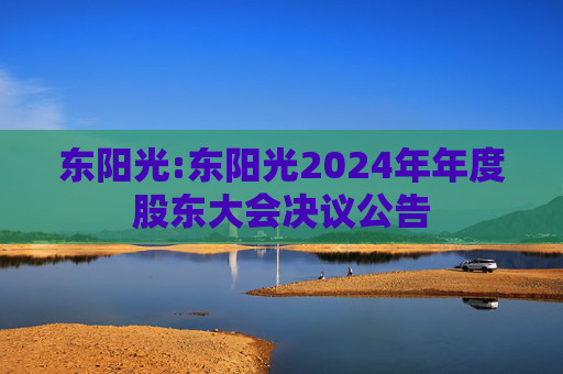 东阳光:东阳光2024年年度股东大会决议公告  第1张
