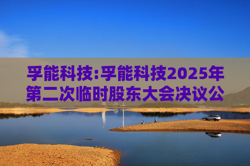 孚能科技:孚能科技2025年第二次临时股东大会决议公告
