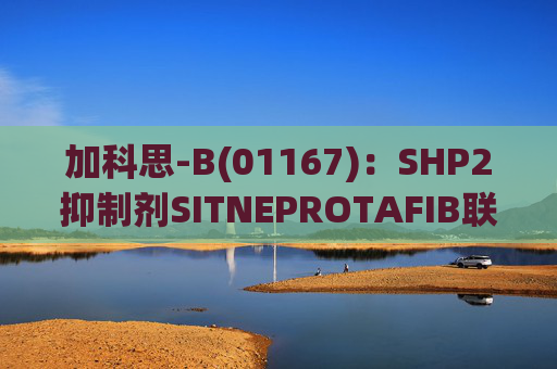 加科思-B(01167):SHP2抑制剂SITNEPROTAFIB联用研究数据发表于学术期刊