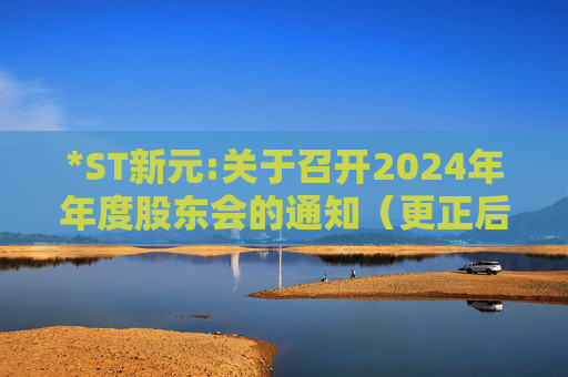 *ST新元:关于召开2024年年度股东会的通知（更正后）