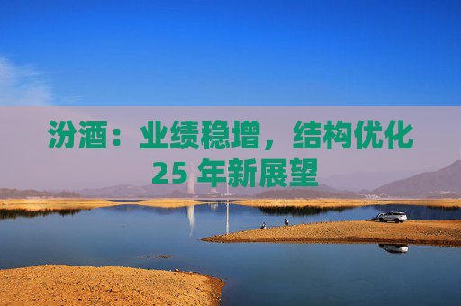 汾酒：业绩稳增，结构优化 25 年新展望