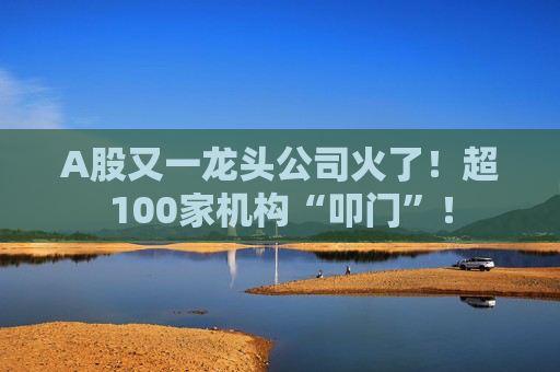 A股又一龙头公司火了!超100家机构“叩门”!