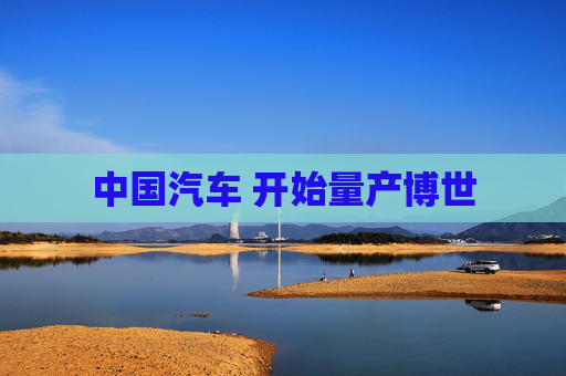 中国汽车 开始量产博世