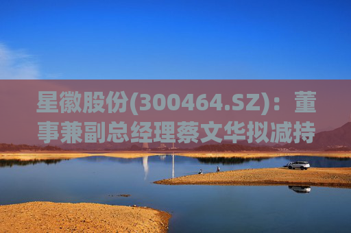 星徽股份(300464.SZ)：董事兼副总经理蔡文华拟减持20.25万股