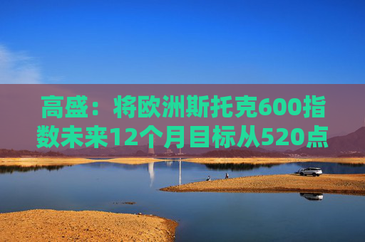 高盛：将欧洲斯托克600指数未来12个月目标从520点上调至570点