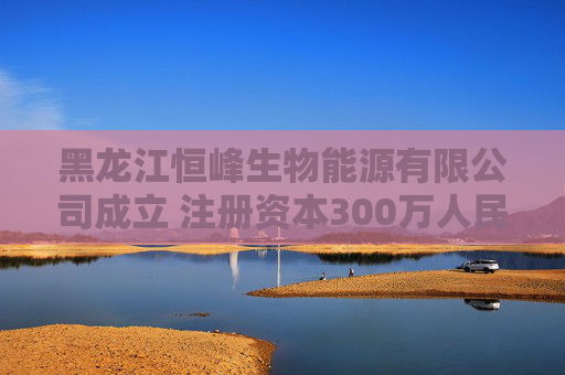 黑龙江恒峰生物能源有限公司成立 注册资本300万人民币