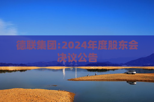 德联集团:2024年度股东会决议公告