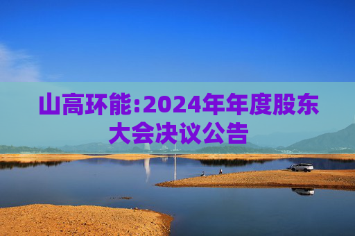 山高环能:2024年年度股东大会决议公告