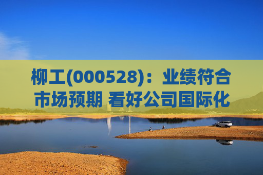 柳工(000528)：业绩符合市场预期 看好公司国际化拓品类逻辑持续兑现
