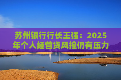 苏州银行行长王强：2025年个人经营贷风控仍有压力，但不会造成冲击