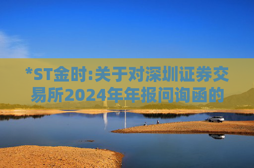 *ST金时:关于对深圳证券交易所2024年年报问询函的回复  第1张