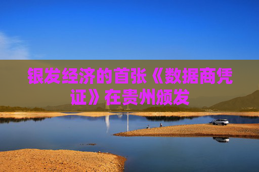 银发经济的首张《数据商凭证》在贵州颁发