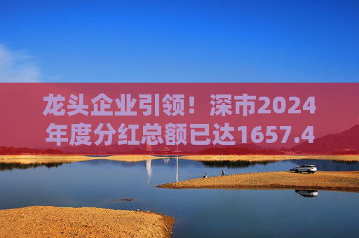 龙头企业引领!深市2024年度分红总额已达1657.47亿元