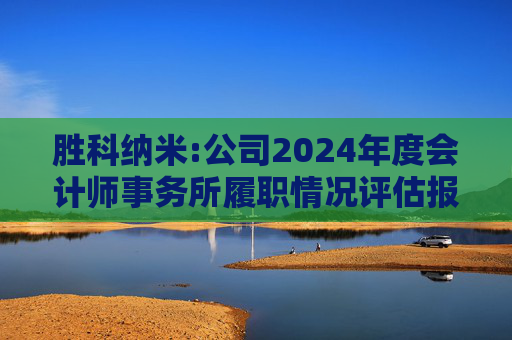胜科纳米:公司2024年度会计师事务所履职情况评估报告