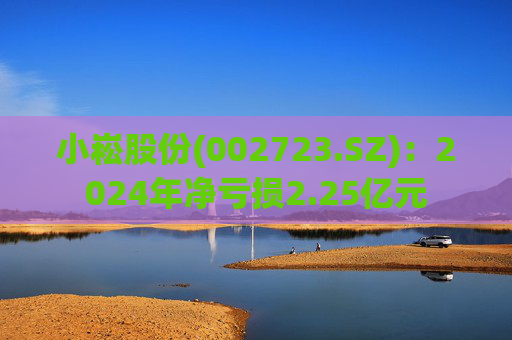 小崧股份(002723.SZ)：2024年净亏损2.25亿元