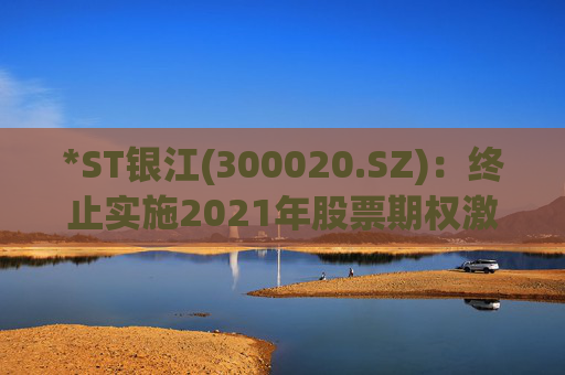 *ST银江(300020.SZ)：终止实施2021年股票期权激励计划及2023年限制性股票激励计划