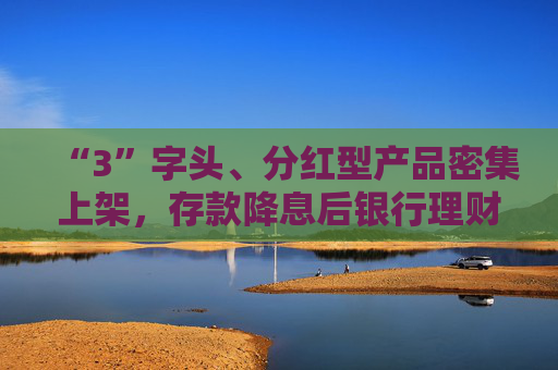 “3”字头、分红型产品密集上架,存款降息后银行理财花式“抢钱”,31万亿市场短期或仍扩容 第1张 “3”字头、分红型产品密集上架,存款降息后银行理财花式“抢钱”,31万亿市场短期或仍扩容 第1张