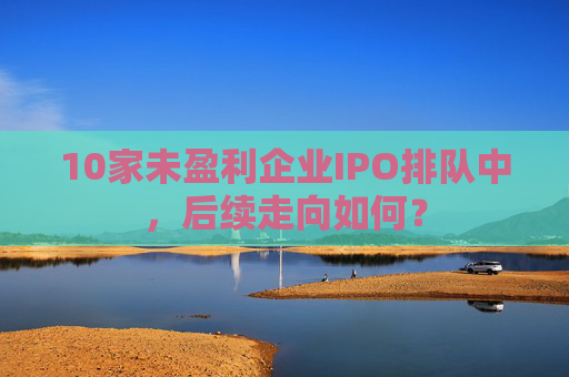 10家未盈利企业IPO排队中,后续走向如何? 第1张 10家未盈利企业IPO排队中,后续走向如何? 第1张