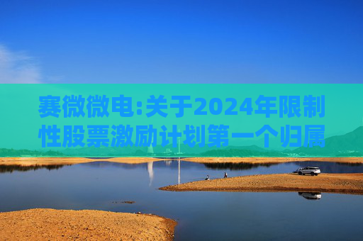 赛微微电:关于2024年限制性股票激励计划第一个归属期归属条件成就的公告