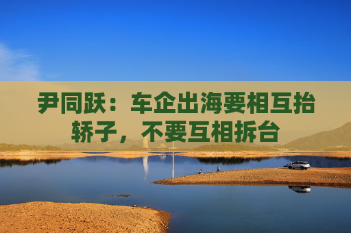 尹同跃：车企出海要相互抬轿子，不要互相拆台