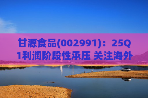 甘源食品(002991)：25Q1利润阶段性承压 关注海外市场突破