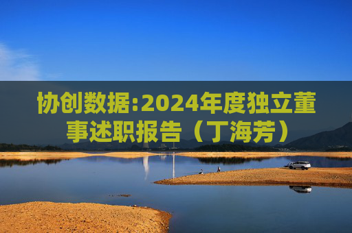协创数据:2024年度独立董事述职报告（丁海芳）