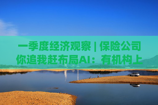 一季度经济观察 | 保险公司你追我赶布局AI：有机构上线3天生成30万行代码，效率提升8%