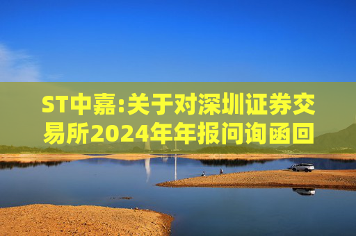 ST中嘉:关于对深圳证券交易所2024年年报问询函回复的公告