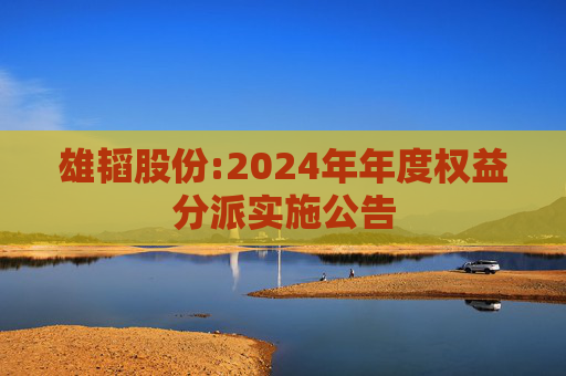 雄韬股份:2024年年度权益分派实施公告