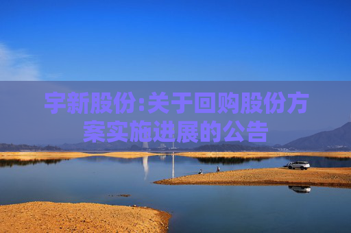 宇新股份:关于回购股份方案实施进展的公告