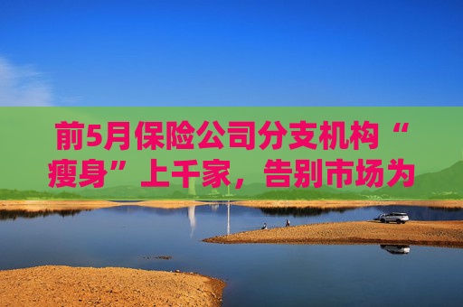 前5月保险公司分支机构“瘦身”上千家,告别市场为哪般 第1张 前5月保险公司分支机构“瘦身”上千家,告别市场为哪般 第1张