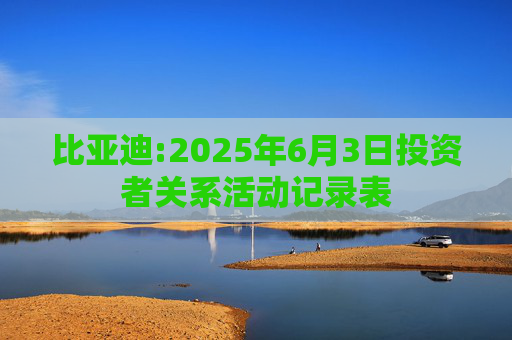比亚迪:2025年6月3日投资者关系活动记录表