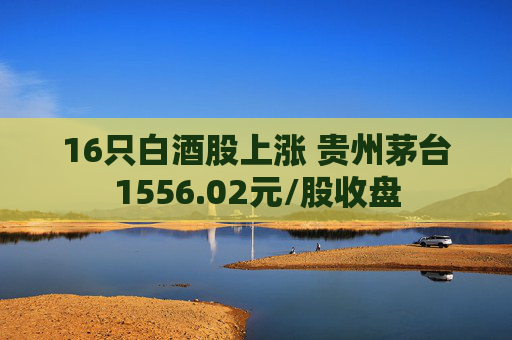 16只白酒股上涨 贵州茅台1556.02元/股收盘