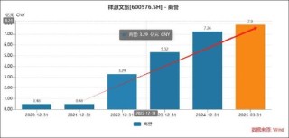 祥源文旅会计差错背后藏着实控人俞发祥资金占用 频繁并购经营质量待考