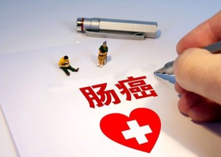 保险免责条款该重点关注什么？