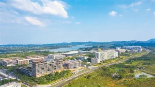 踏浪前行风正劲——海南加快推进全面深化改革开放和中国特色自由贸易港建设纪实