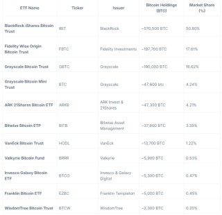 山寨ETF热潮现状：详览2025年加密ETF申请