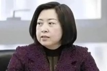 辽宁保险业夫妻高管落马背后：融盛财险成立8年从未盈利