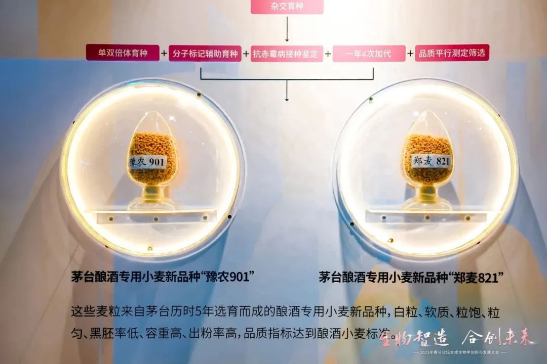 白酒25亿研发投入,都用在哪儿了? 第3张 白酒25亿研发投入,都用在哪儿了? 第3张