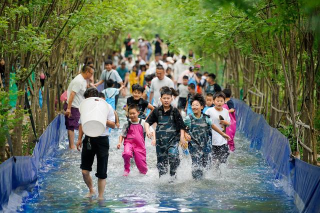端午小长假“好玩不贵”：周边游出游人次占比近50%，主题乐园景区最受欢迎  第4张