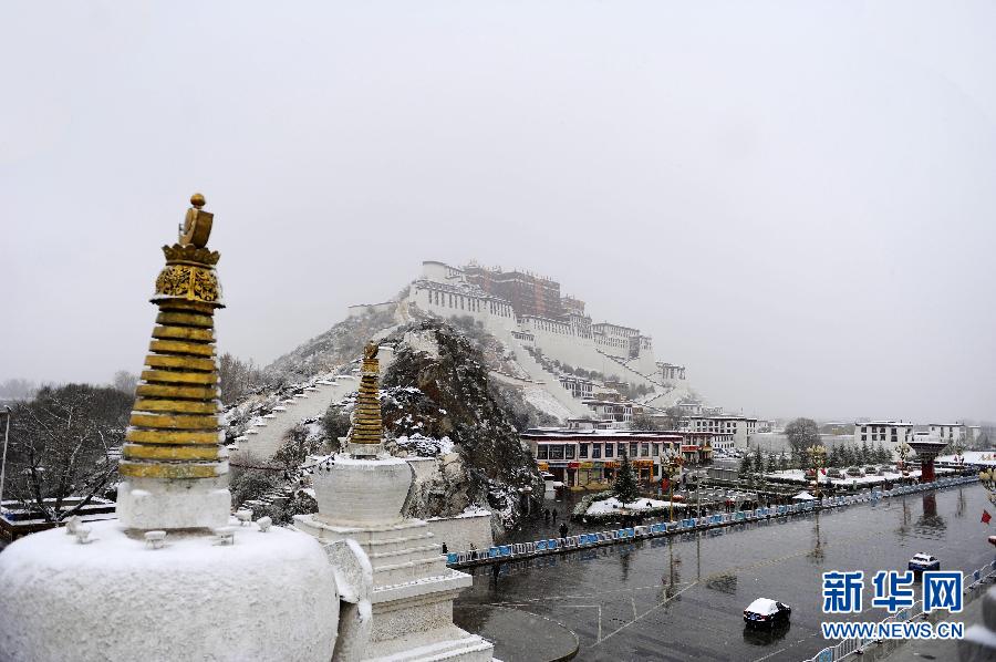 如何看待塔勒布期权的特点？塔勒布期权在投资中有何作用？  第1张