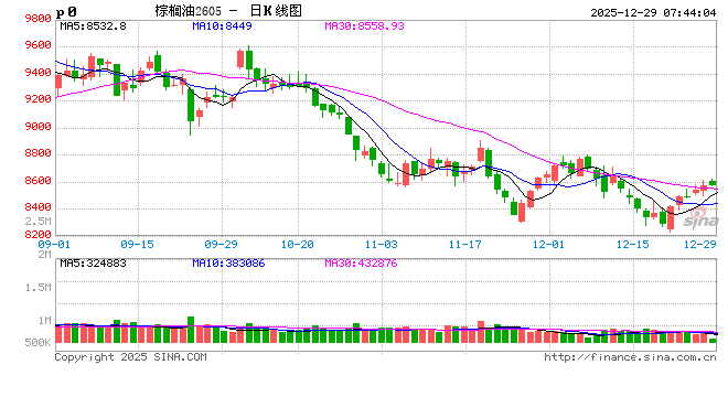 油脂反弹动能不佳,关注45Z补贴落地情况 第2张 油脂反弹动能不佳,关注45Z补贴落地情况 第2张